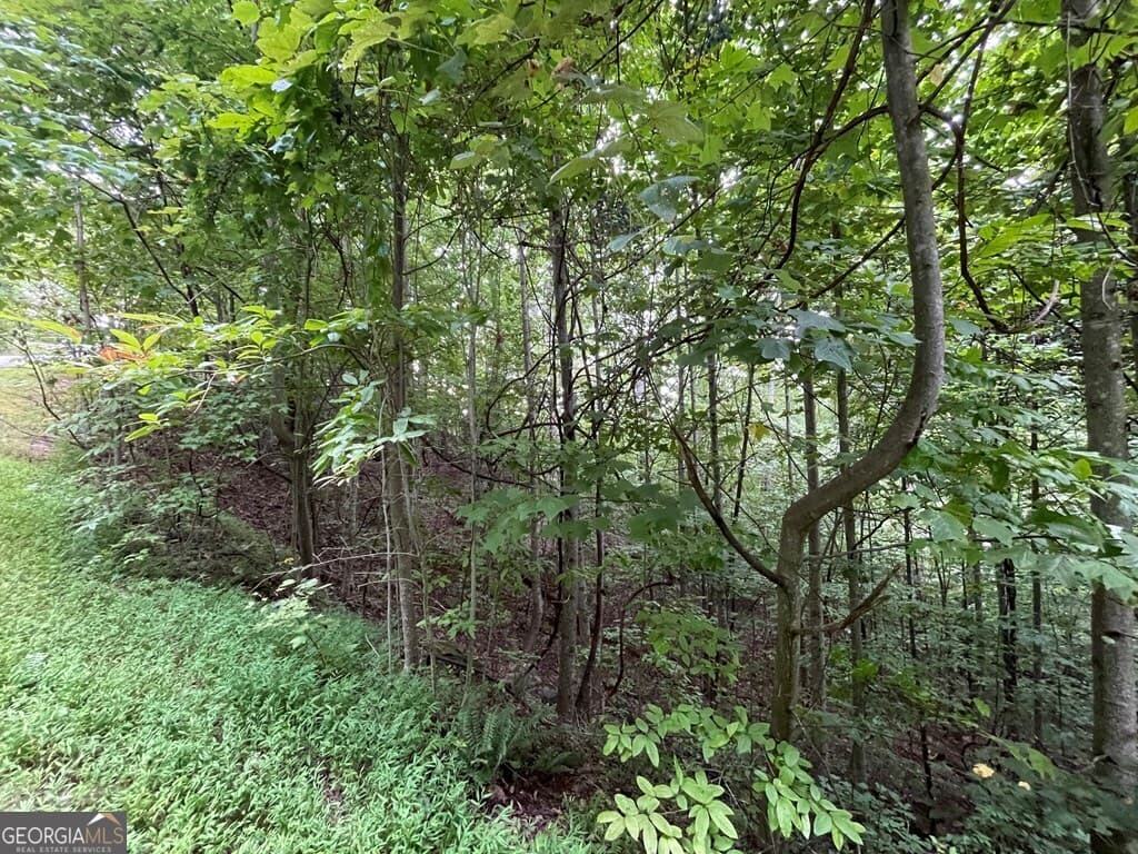 residential lot for sale at LOT 32 J Mountain Harbour, Hayesville, NC 28904 — photo 8
