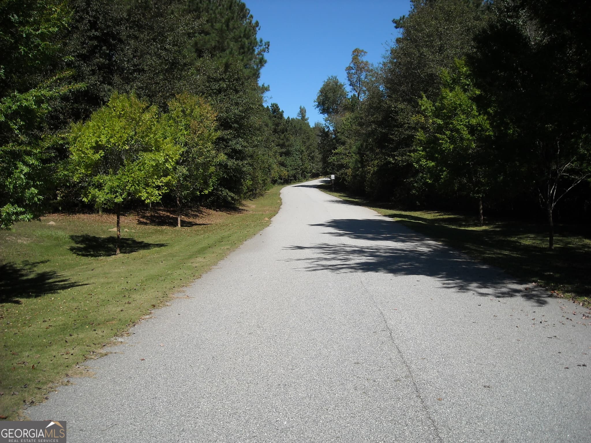estate lot for sale at TRACT 2 Rivers Road, Fayetteville, GA 30214 — photo 3