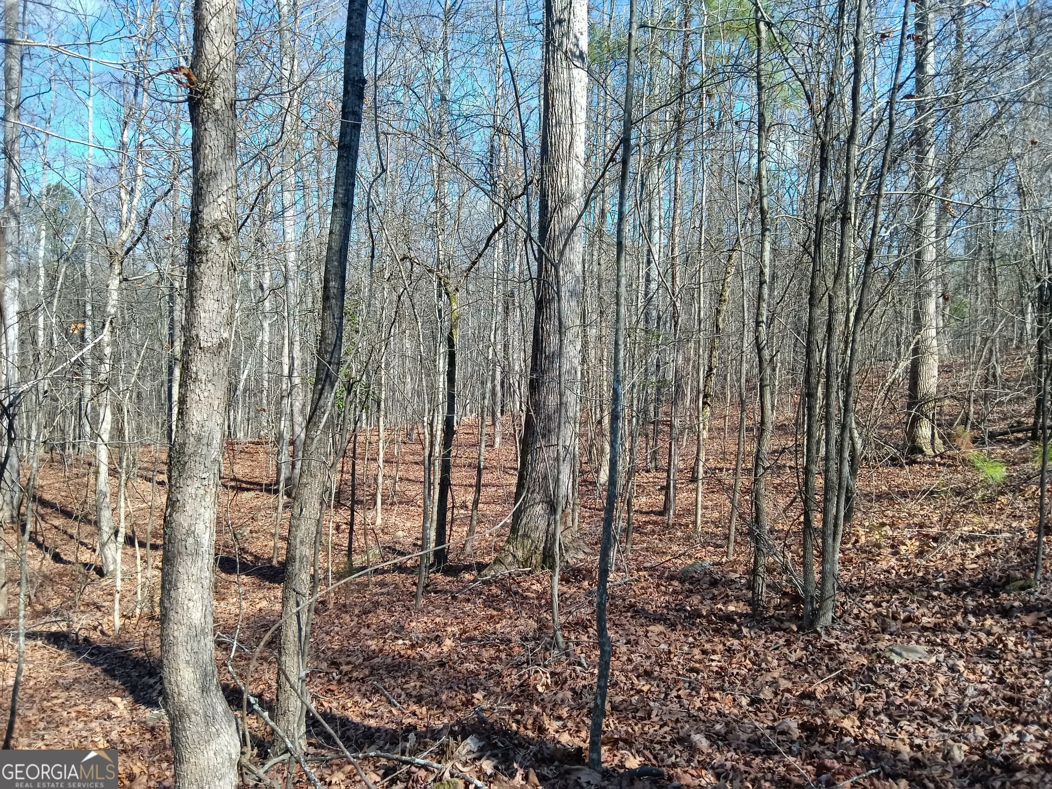 estate lot for sale at TRACT 2 Rivers Road, Fayetteville, GA 30214 — photo 4