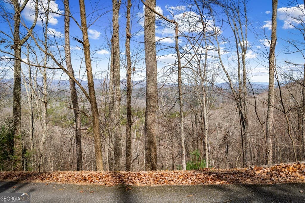 residential lot for sale at LOT 20 Raven Ridge Circle, Mineral Bluff, GA 30559 — photo 2
