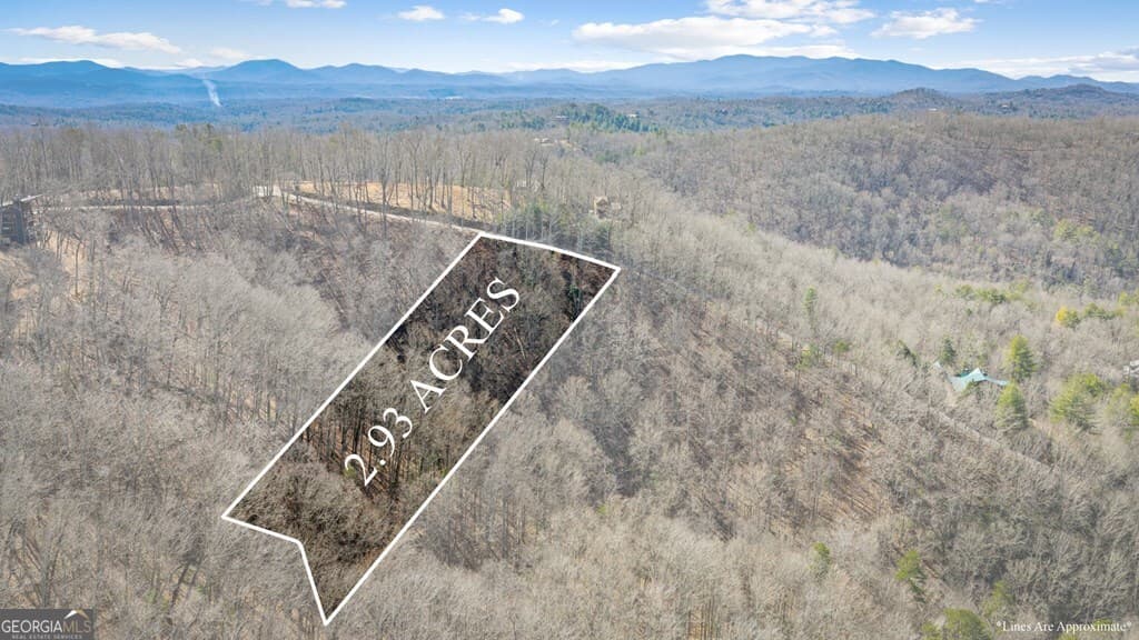 residential lot for sale at LOT 20 Raven Ridge Circle, Mineral Bluff, GA 30559 — photo 6