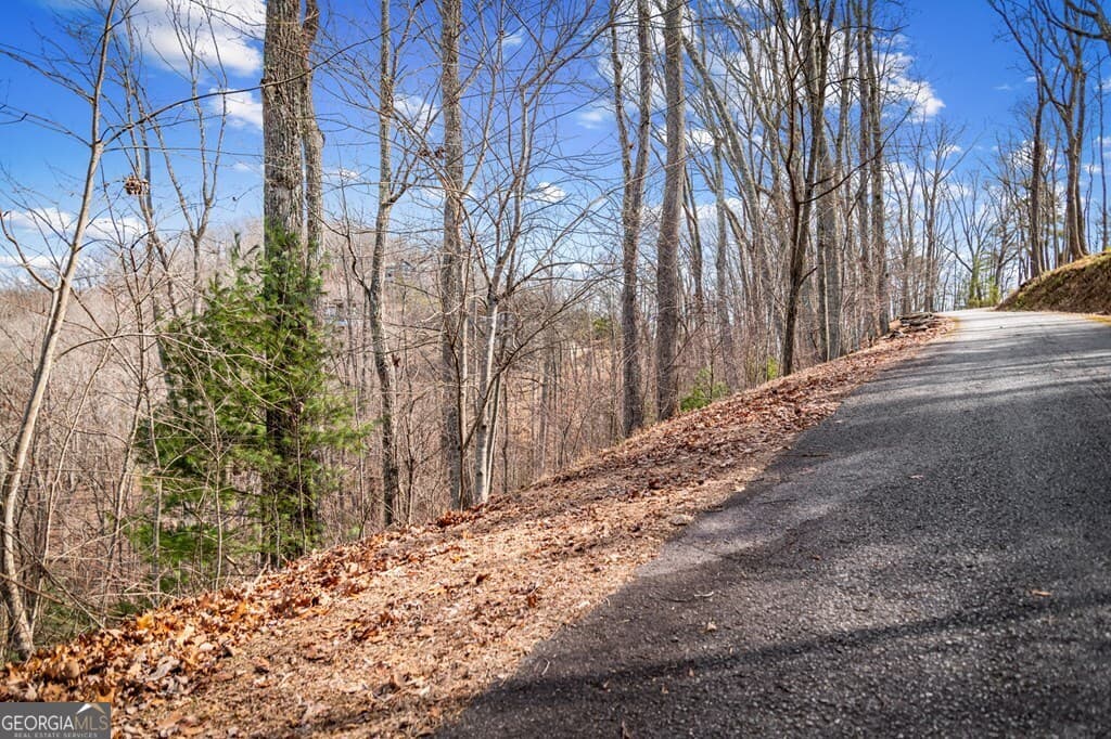 residential lot for sale at LOT 20 Raven Ridge Circle, Mineral Bluff, GA 30559 — photo 7