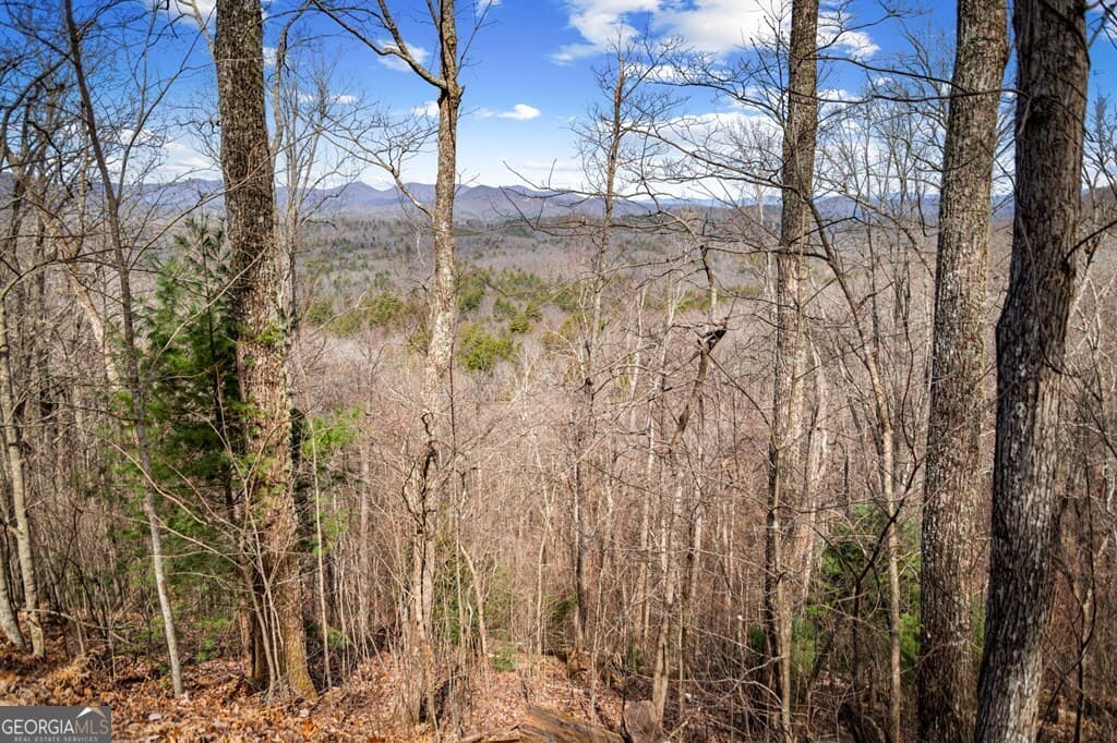 residential lot for sale at LOT 20 Raven Ridge Circle, Mineral Bluff, GA 30559 — photo 3
