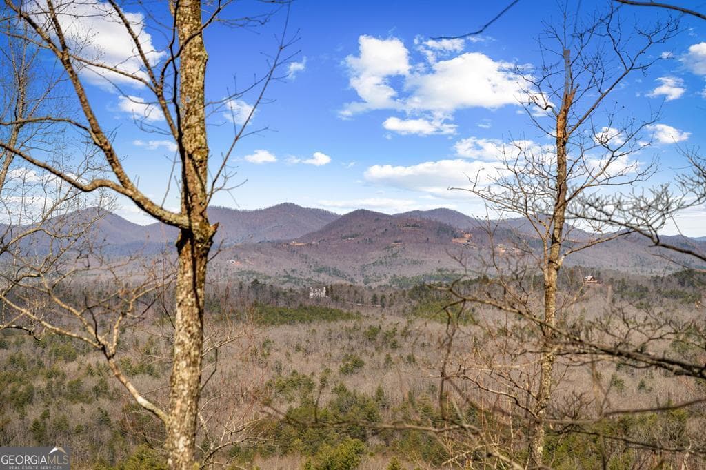 residential lot for sale at LOT 20 Raven Ridge Circle, Mineral Bluff, GA 30559 — photo 1 of 16