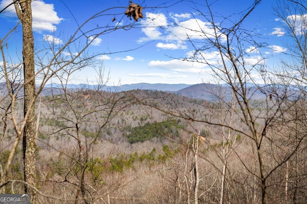 residential lot for sale at LOT 20 Raven Ridge Circle, Mineral Bluff, GA 30559 — photo 5
