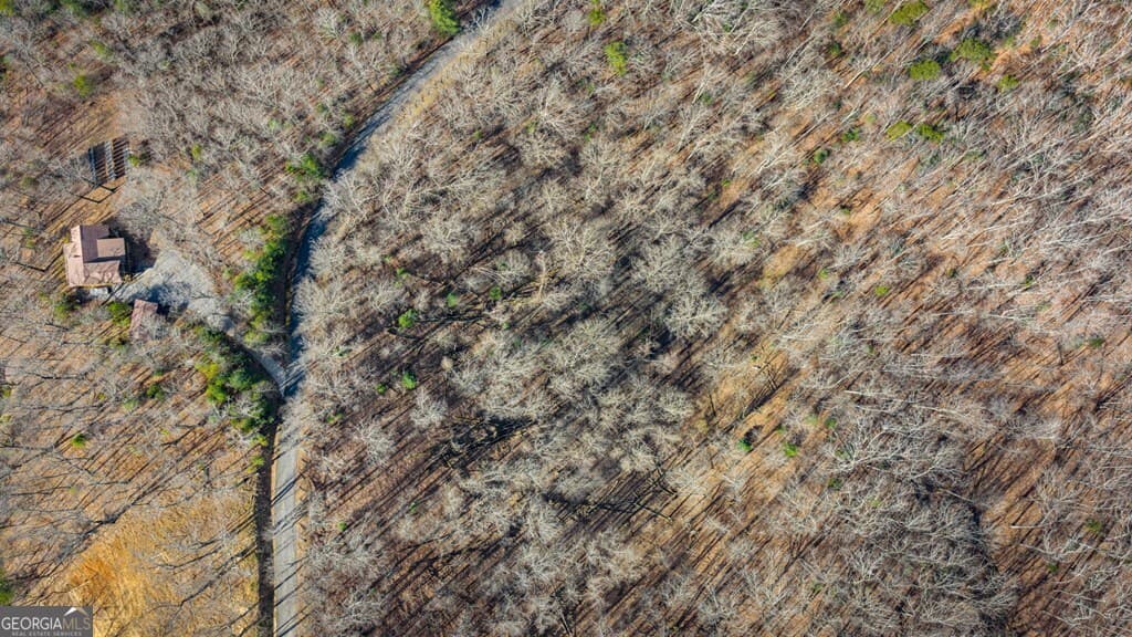 residential lot for sale at LOT 20 Raven Ridge Circle, Mineral Bluff, GA 30559 — photo 9