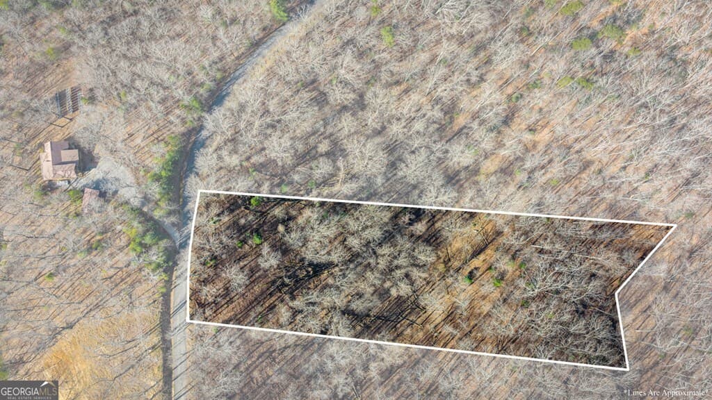 residential lot for sale at LOT 20 Raven Ridge Circle, Mineral Bluff, GA 30559 — photo 10