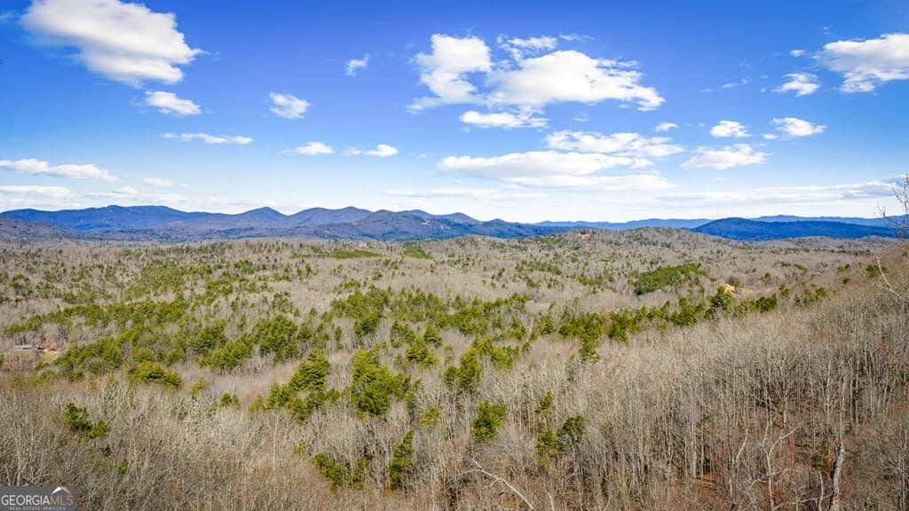 residential lot for sale at LOT 20 Raven Ridge Circle, Mineral Bluff, GA 30559 — photo 8