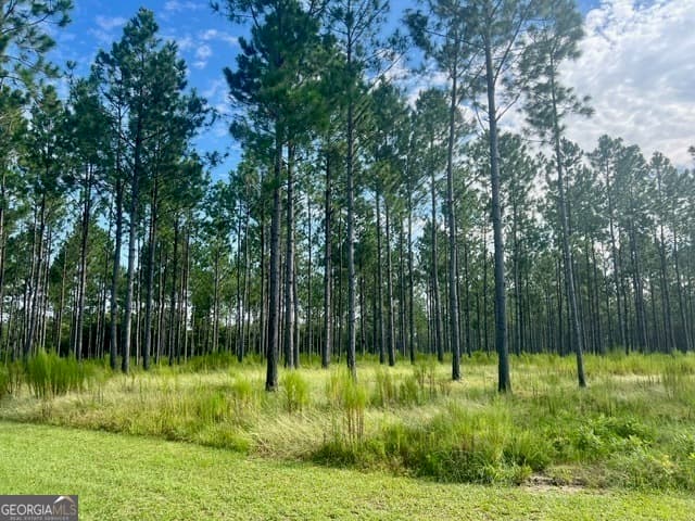 agriculture sold at 33206 Canoochee Road, Metter, GA 30439