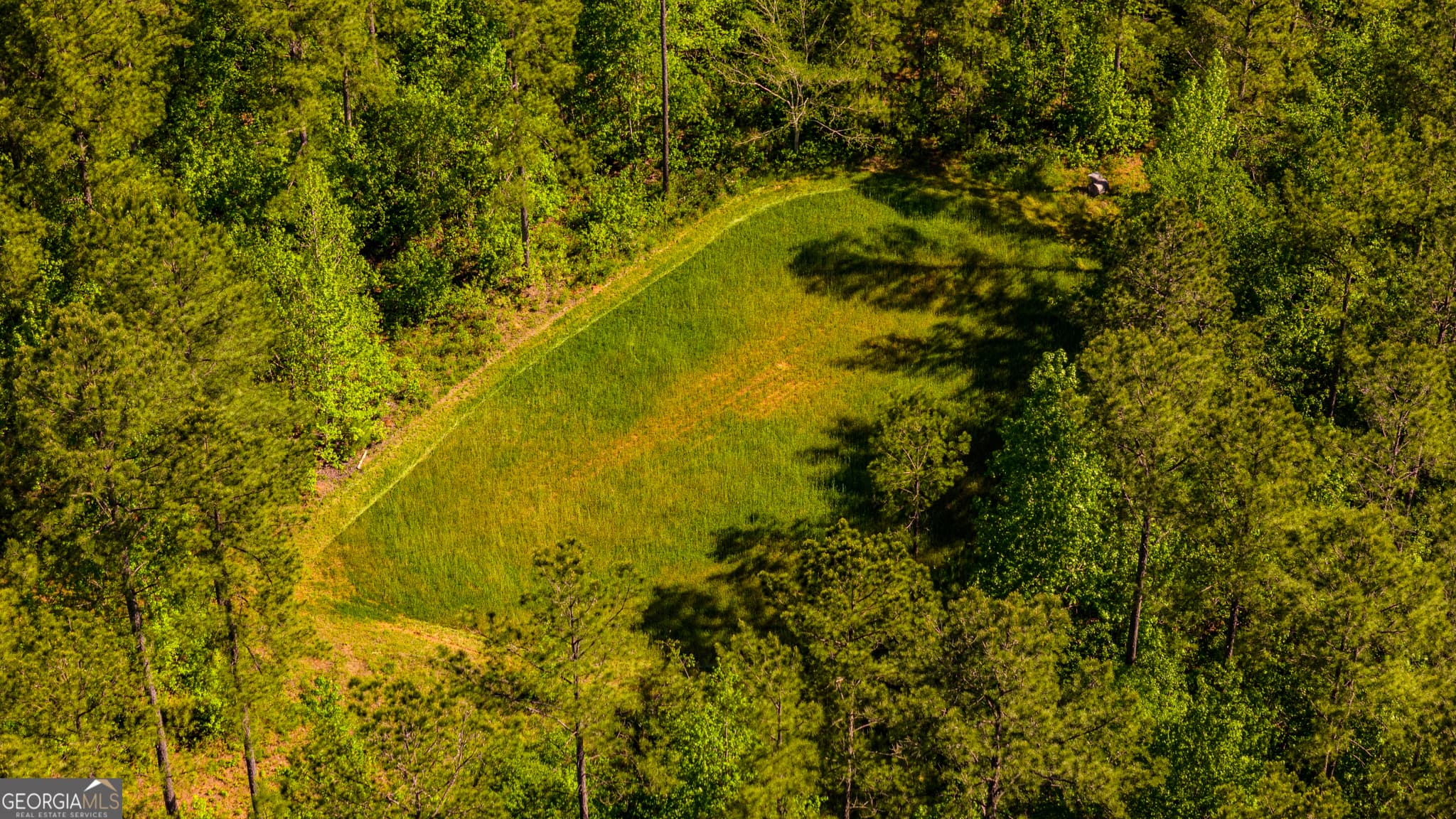 agriculture sold at 140 George Jordan Way 207 ACRES, Talbotton, GA 31827