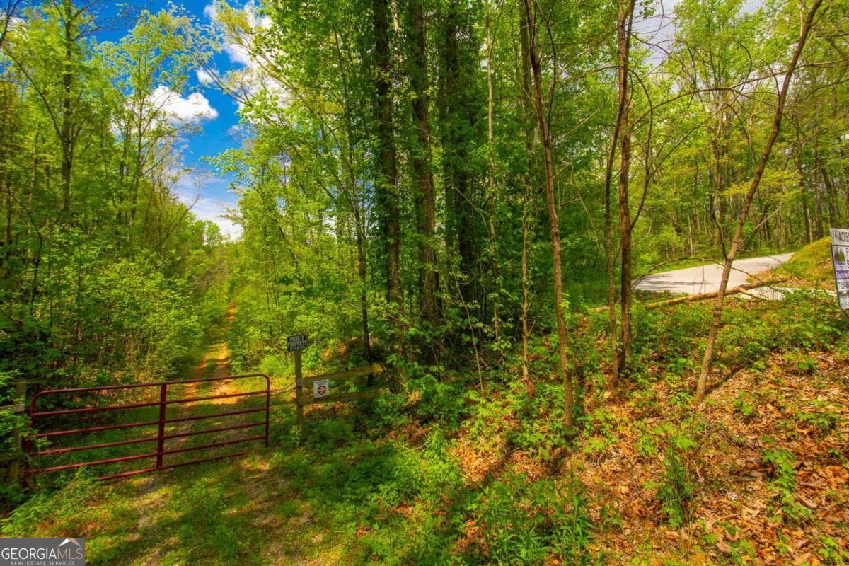 estate lot for sale at 0 Antioch Valley Road Trct 3, Dawsonville, GA 30534 — photo 2