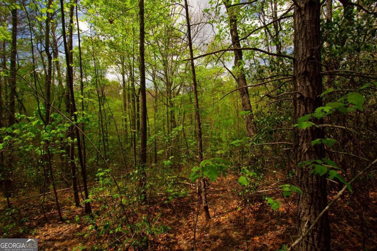 estate lot for sale at 0 Antioch Valley Road Trct 3, Dawsonville, GA 30534 — photo 6