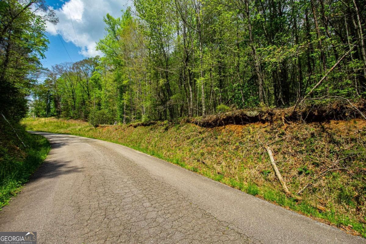 estate lot for sale at 0 Antioch Valley Road Trct 3, Dawsonville, GA 30534 — photo 7