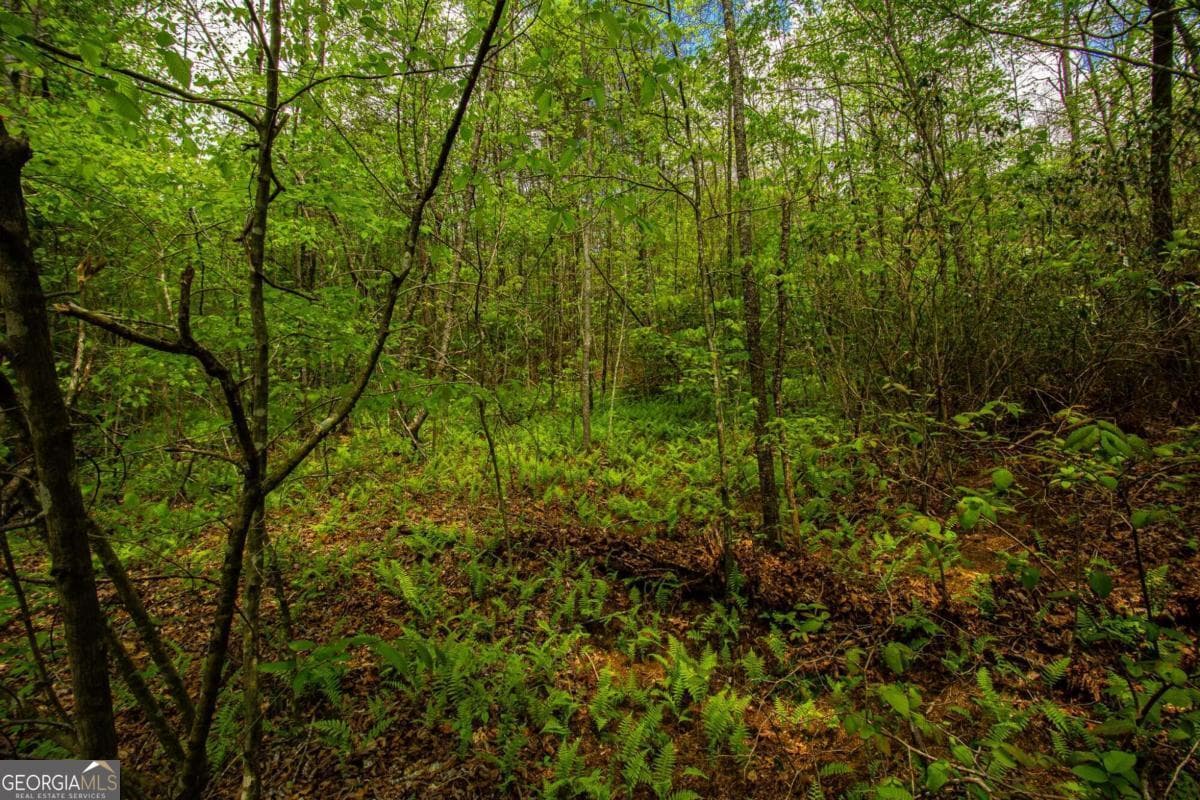 estate lot for sale at 0 Antioch Valley Road Trct 3, Dawsonville, GA 30534 — photo 3
