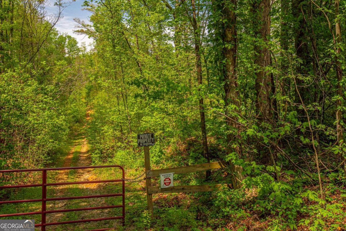 estate lot for sale at 0 Antioch Valley Road Trct 3, Dawsonville, GA 30534 — photo 1 of 16