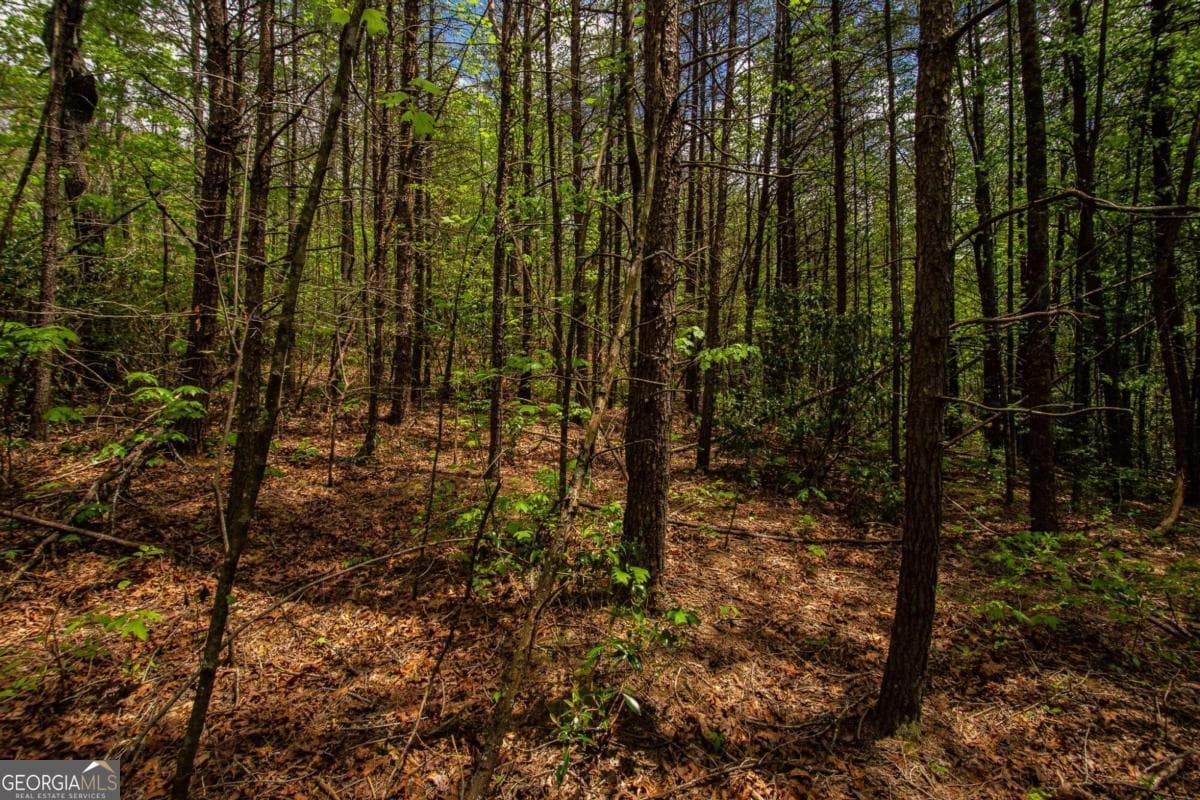 estate lot for sale at 0 Antioch Valley Road Trct 3, Dawsonville, GA 30534 — photo 5