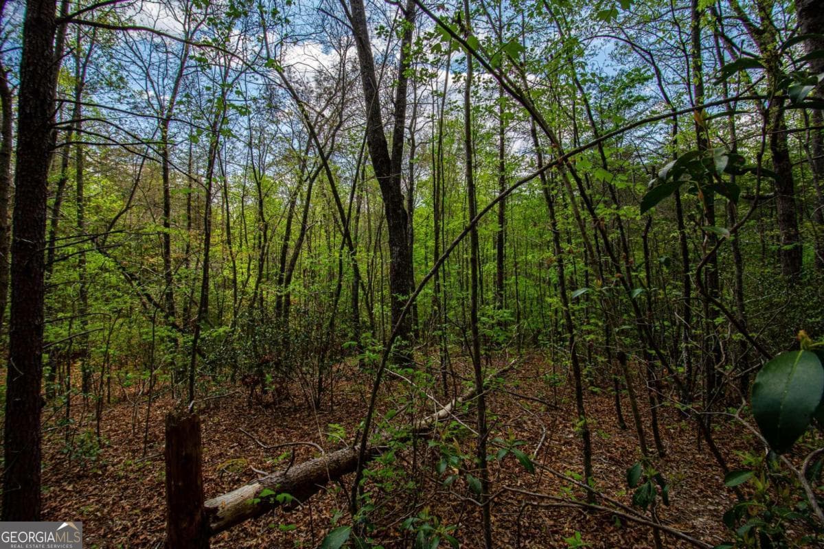 estate lot for sale at 0 Antioch Valley Road Trct 3, Dawsonville, GA 30534 — photo 9