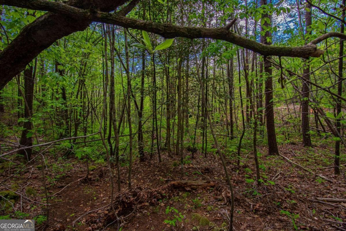estate lot for sale at 0 Antioch Valley Road Trct 3, Dawsonville, GA 30534 — photo 10