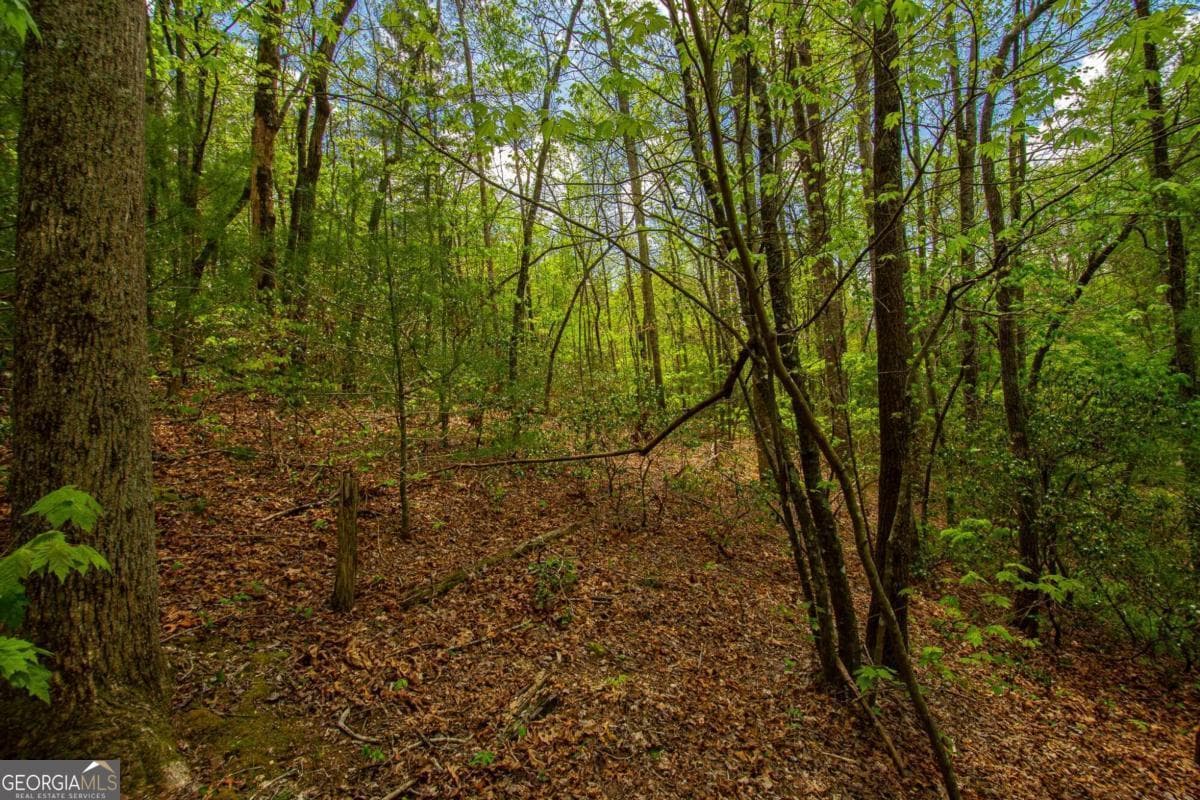 estate lot for sale at 0 Antioch Valley Road Trct 3, Dawsonville, GA 30534 — photo 4