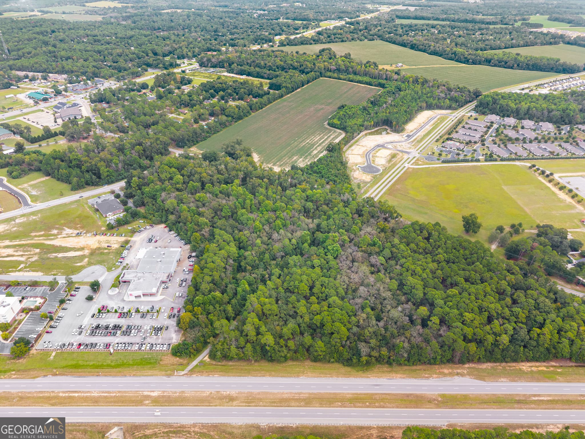 unimproved land for sale at 0 Cawana Road, Statesboro, GA 30458 — photo 6