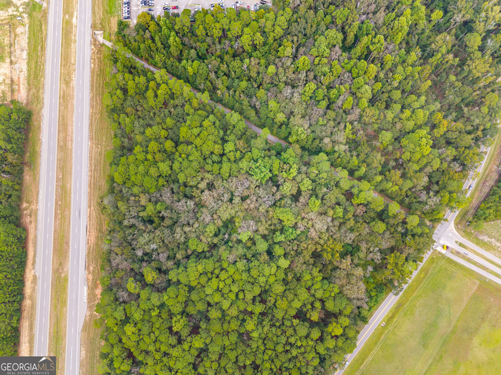 unimproved land for sale at 0 Cawana Road, Statesboro, GA 30458 — photo 7