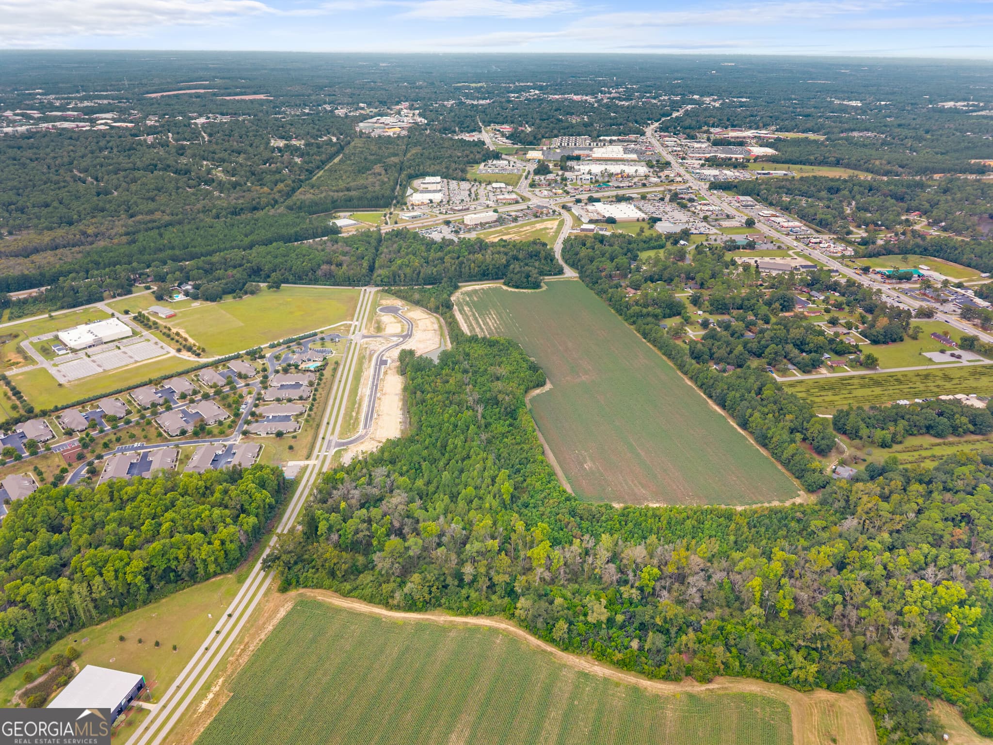 unimproved land for sale at 0 Cawana Road, Statesboro, GA 30458 — photo 3