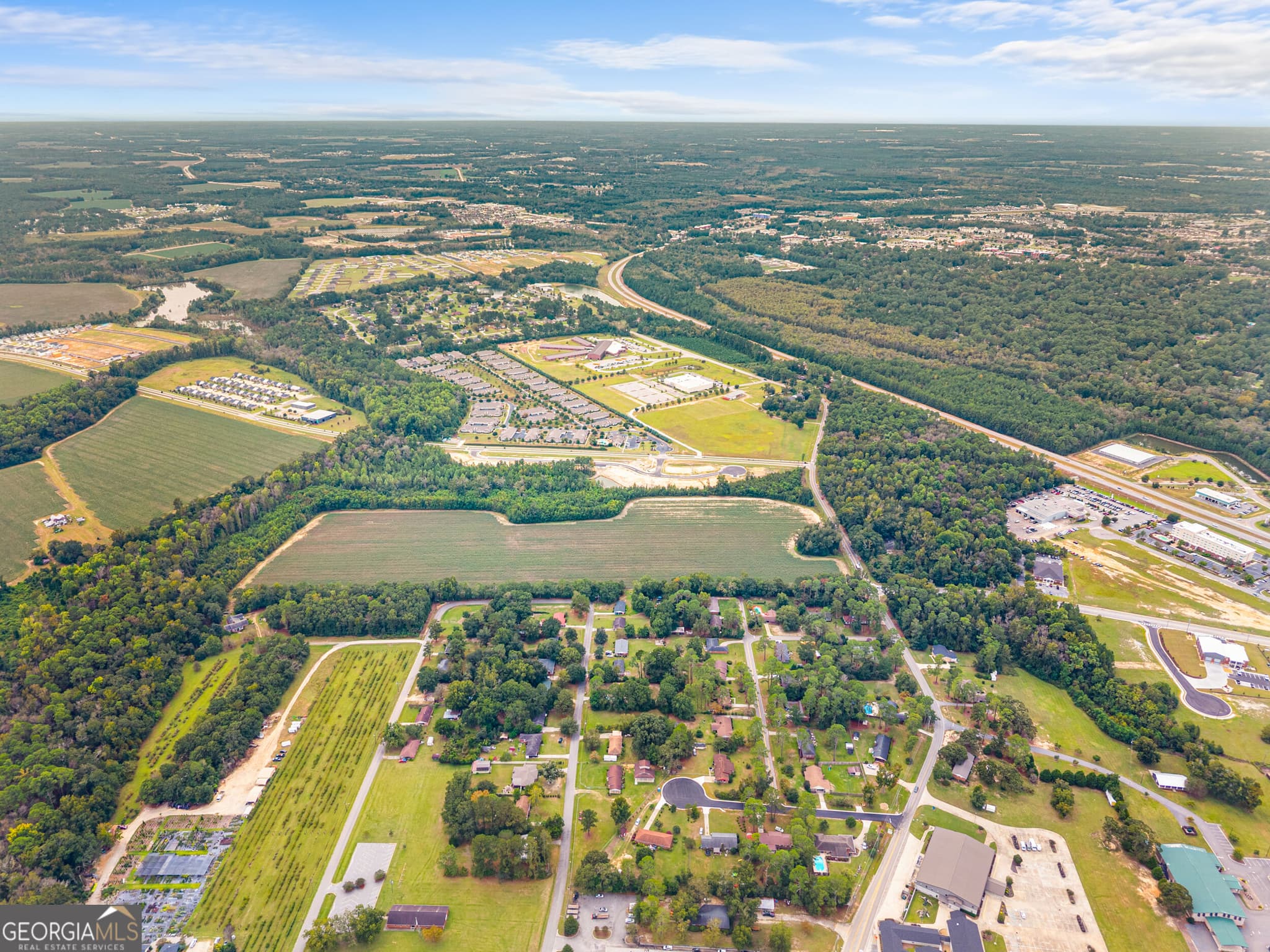unimproved land for sale at 0 Cawana Road, Statesboro, GA 30458 — photo 5