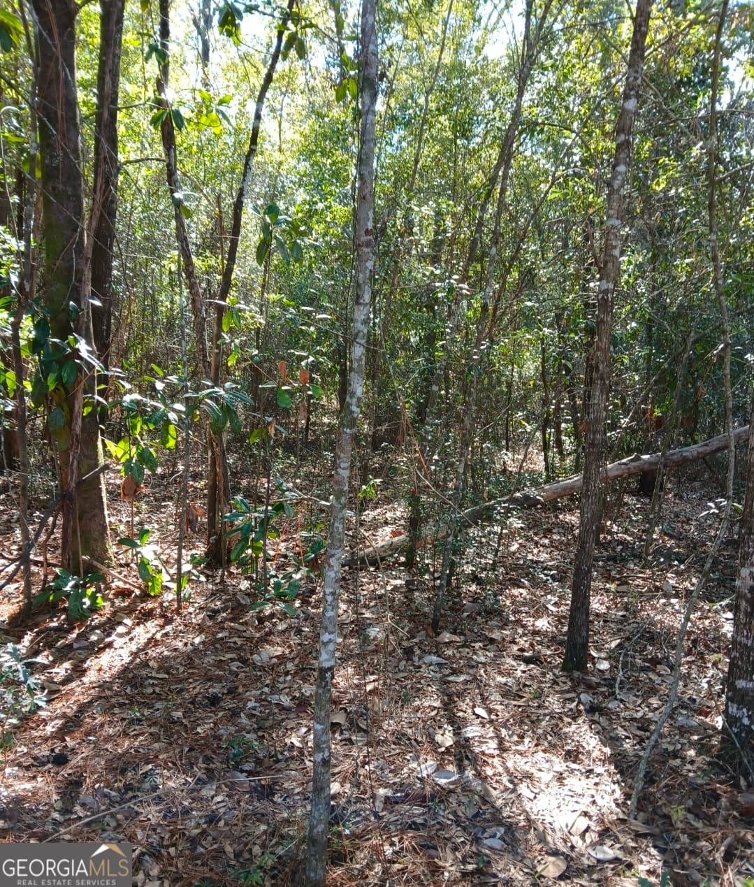residential lot for sale at 0-LOT 4 Kelly Road, Folkston, GA 31537 — photo 6