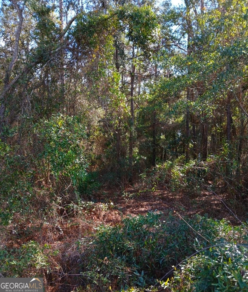 residential lot for sale at 0-LOT 4 Kelly Road, Folkston, GA 31537 — photo 8