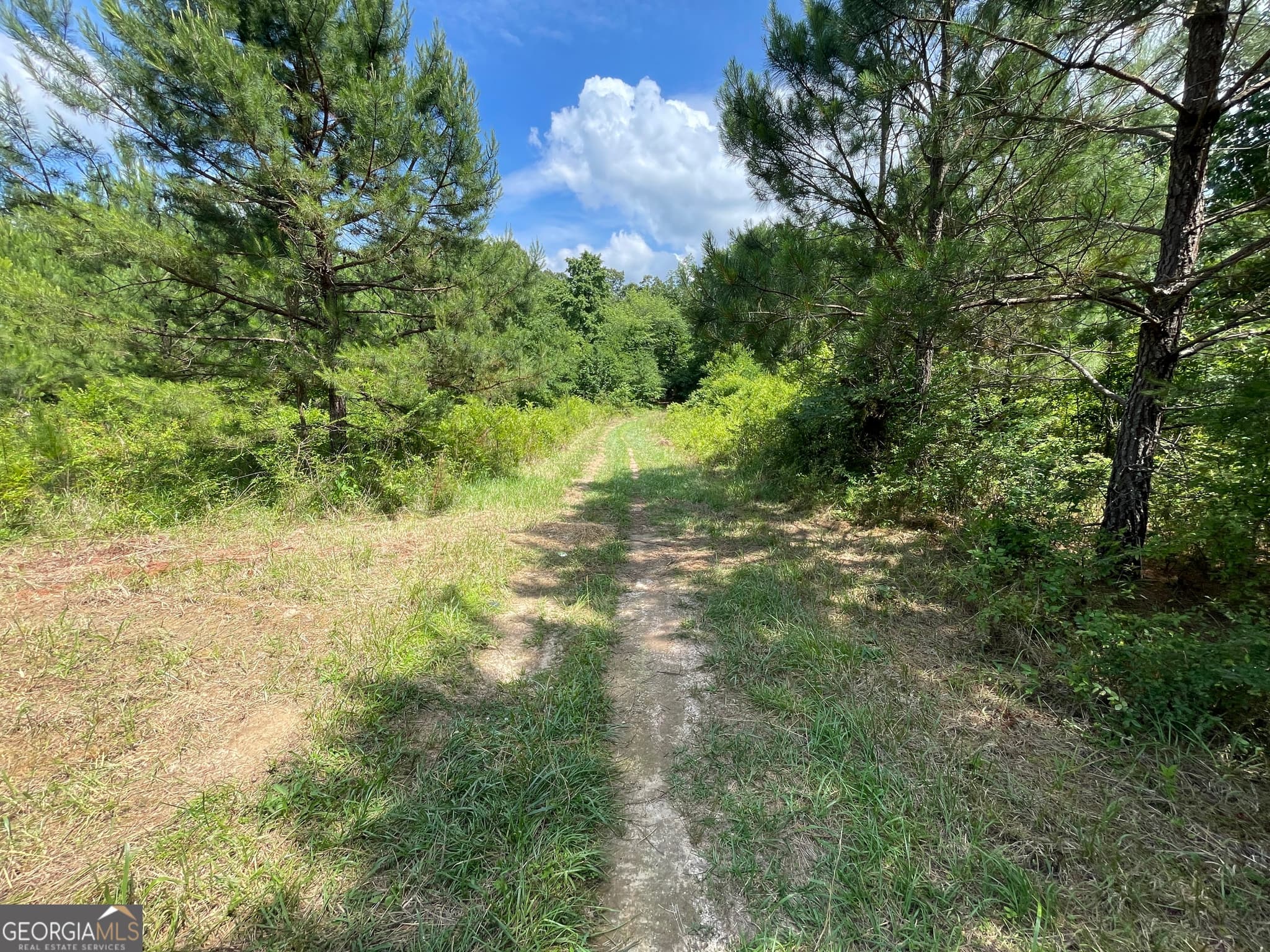unimproved land for sale at 0 Fallen Branch Circle, Rome, GA 30161 — photo 6
