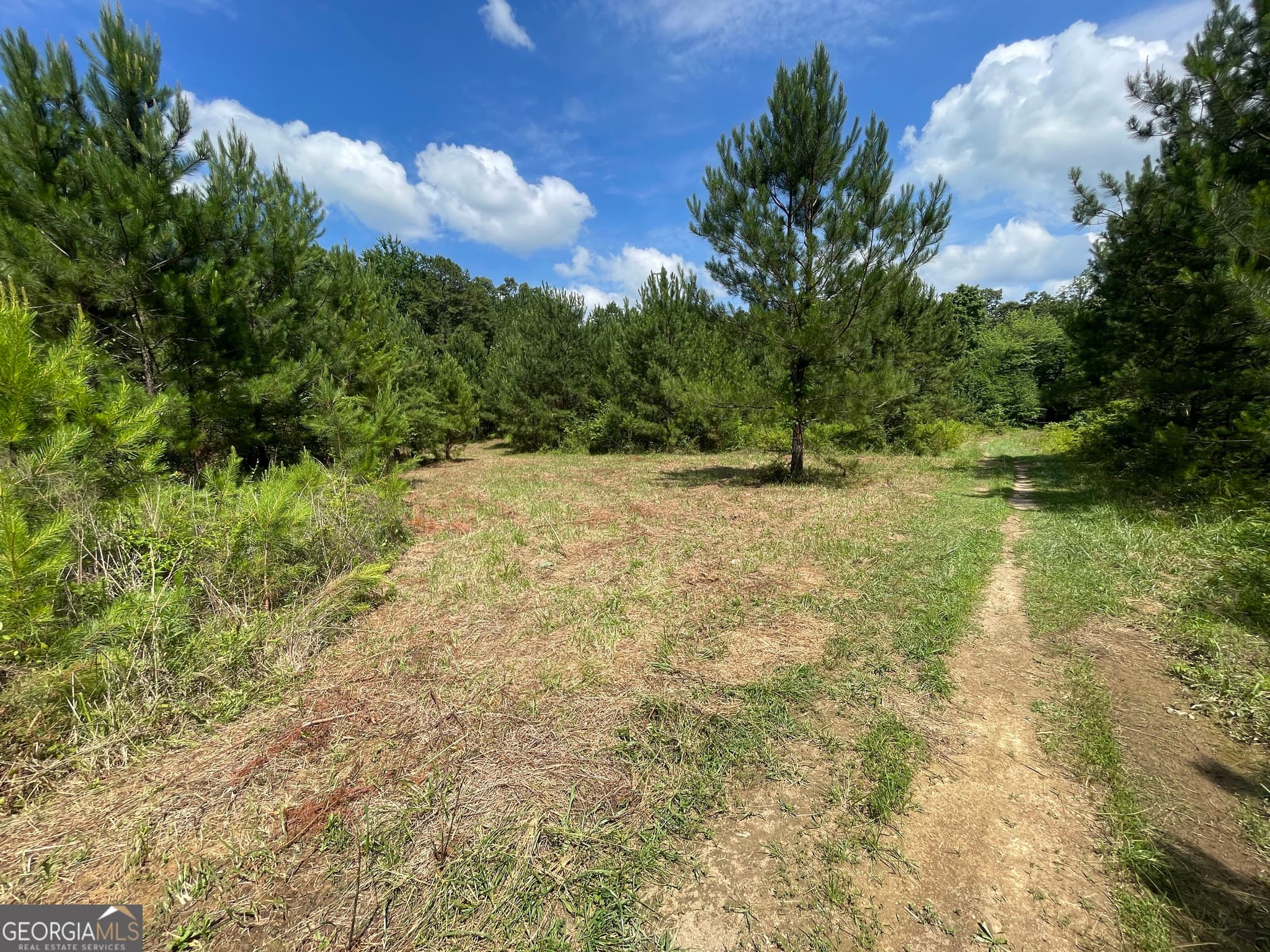 unimproved land for sale at 0 Fallen Branch Circle, Rome, GA 30161 — photo 7