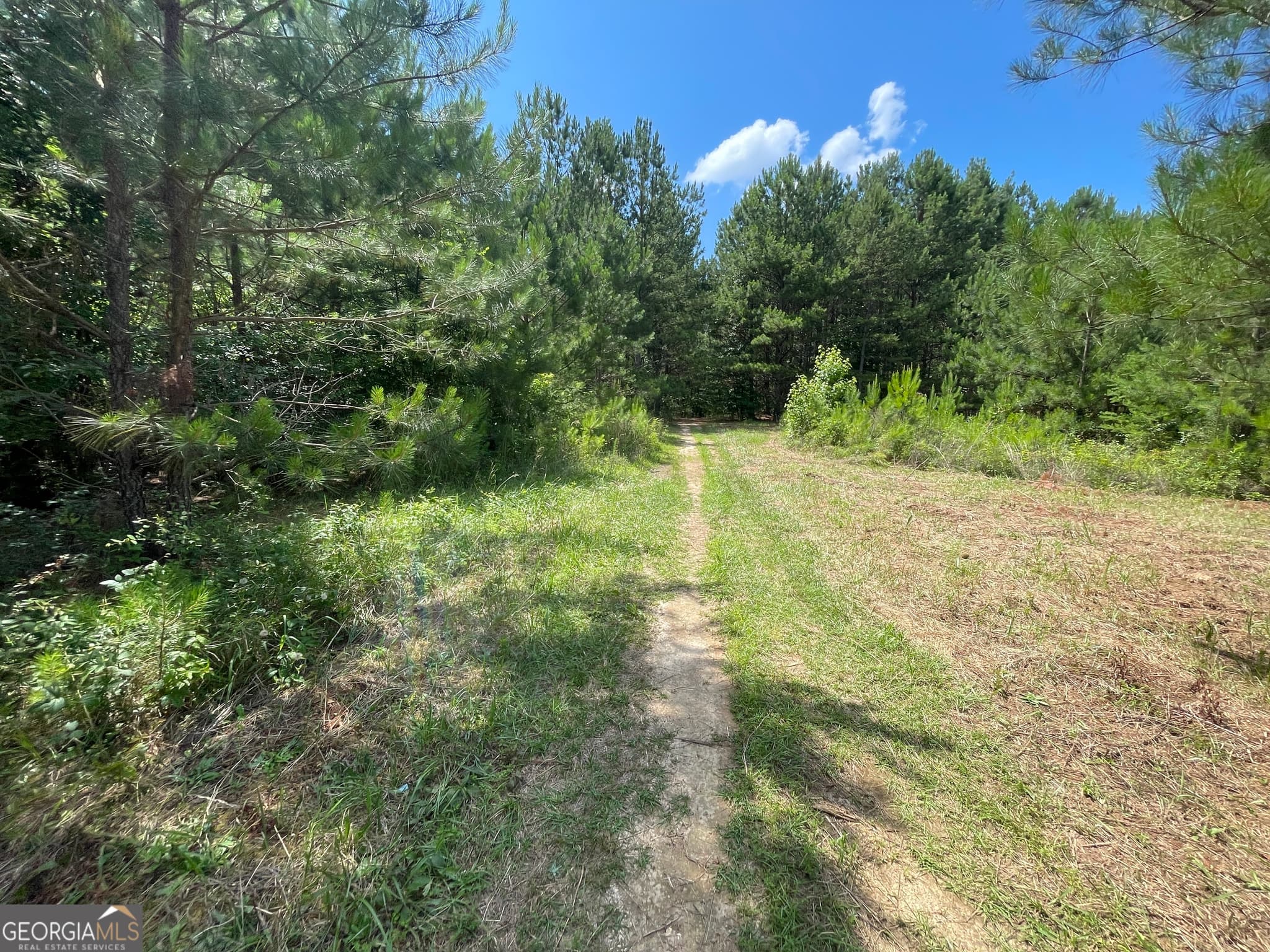 unimproved land for sale at 0 Fallen Branch Circle, Rome, GA 30161 — photo 5