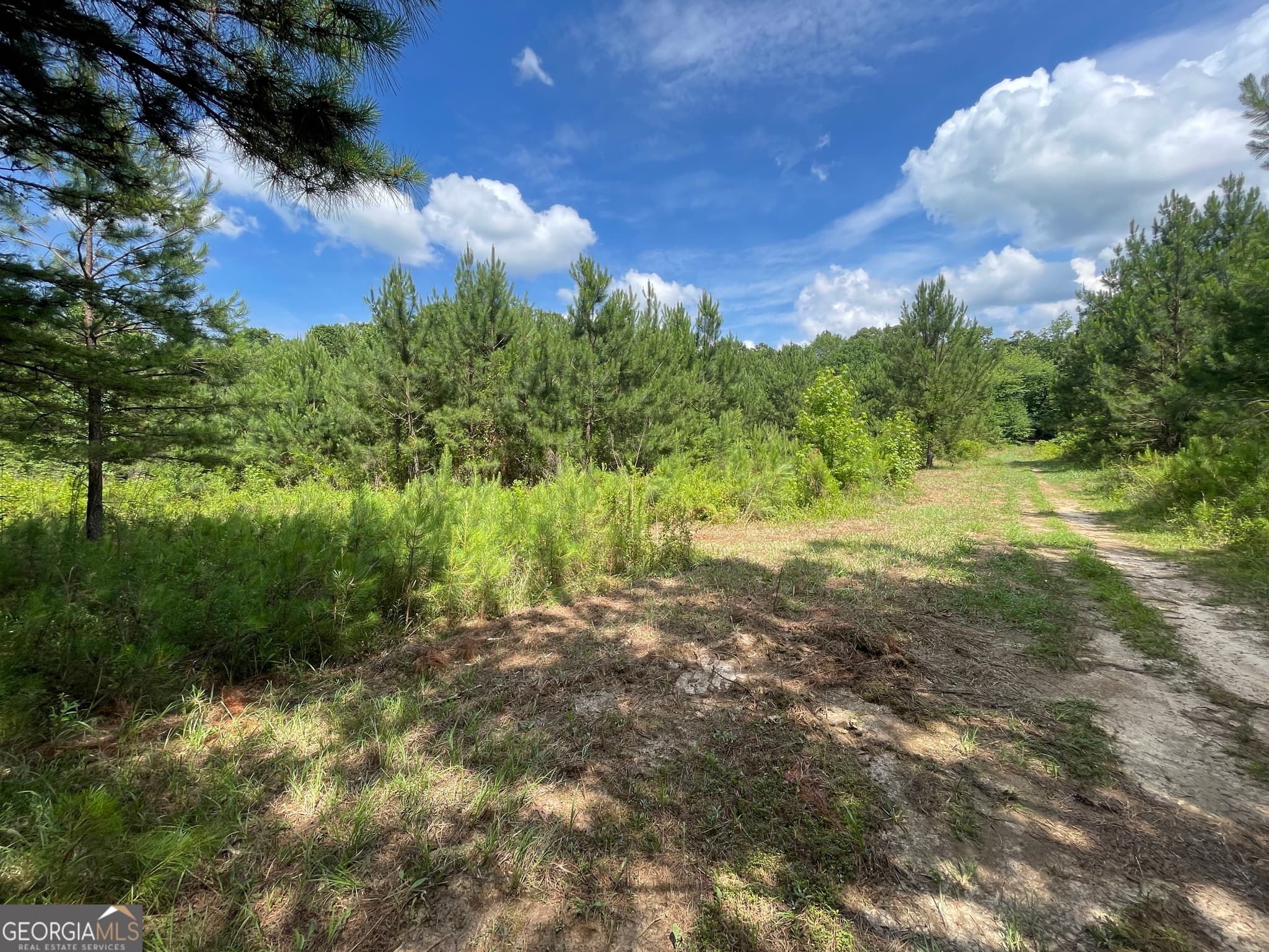 unimproved land for sale at 0 Fallen Branch Circle, Rome, GA 30161 — photo 10