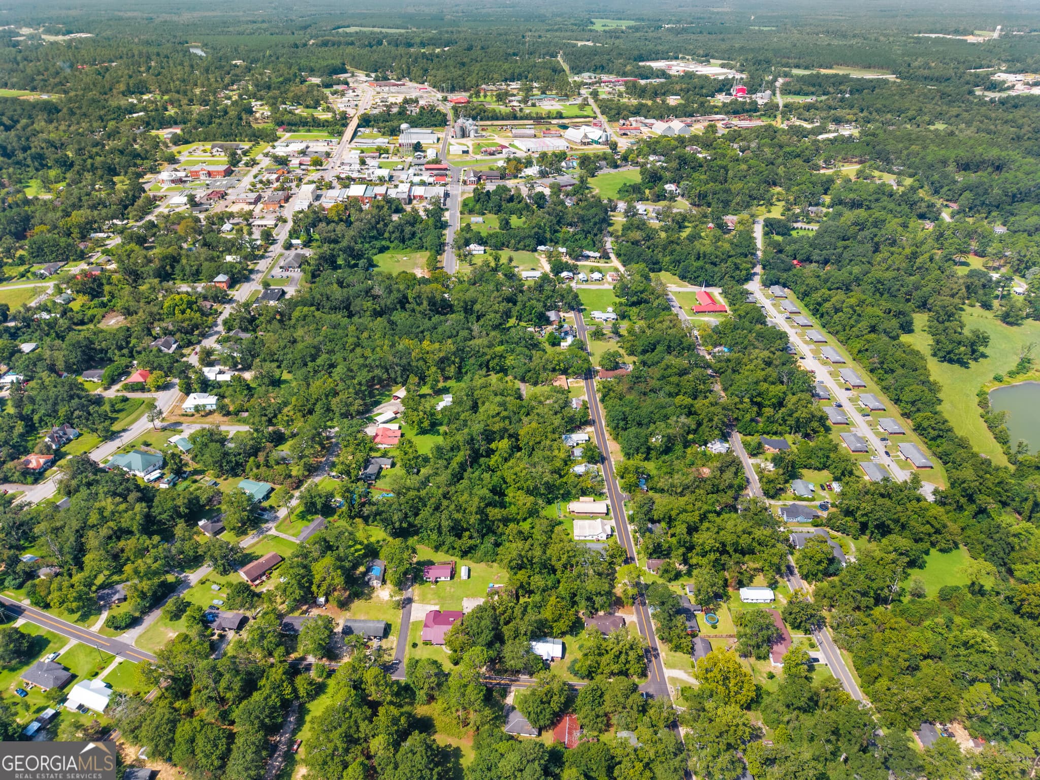 residential lot for sale at 0 Berry Street, Sylvania, GA 30467 — photo 6