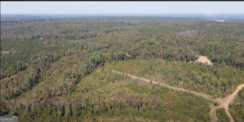 agriculture sold at 072 017 Hwy 112, Toomsboro, GA 31090