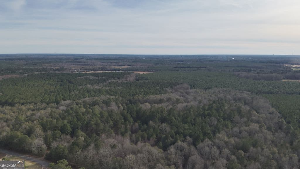 residential lot for sale at 3 Country Club Road LOT 3, Sylvania, GA 30467 — photo 2