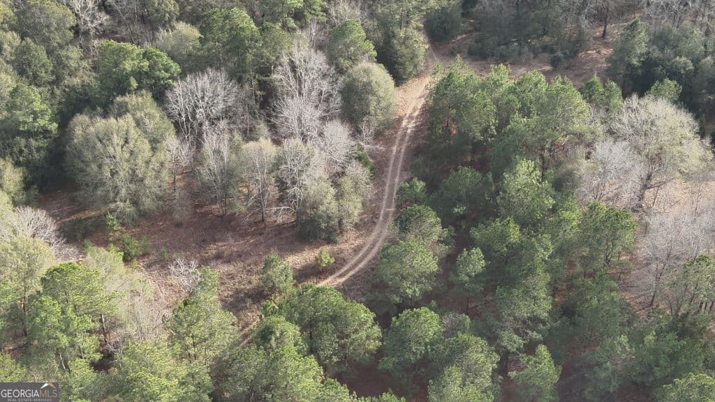 residential lot for sale at 3 Country Club Road LOT 3, Sylvania, GA 30467 — photo 3