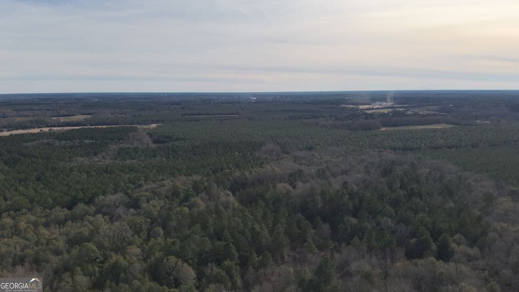 residential lot for sale at 3 Country Club Road LOT 3, Sylvania, GA 30467 — photo 1 of 31