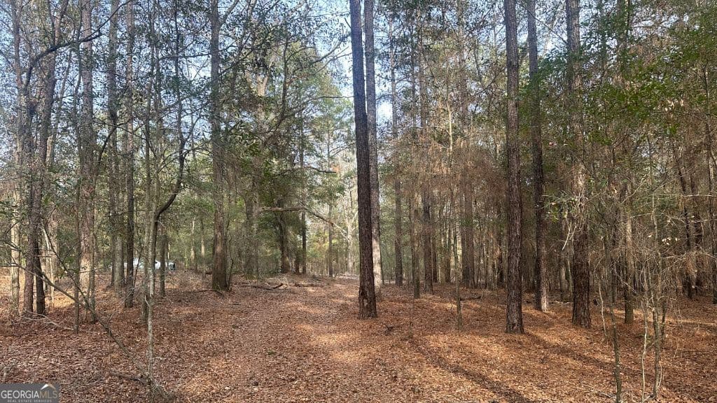 residential lot for sale at 3 Country Club Road LOT 3, Sylvania, GA 30467 — photo 10