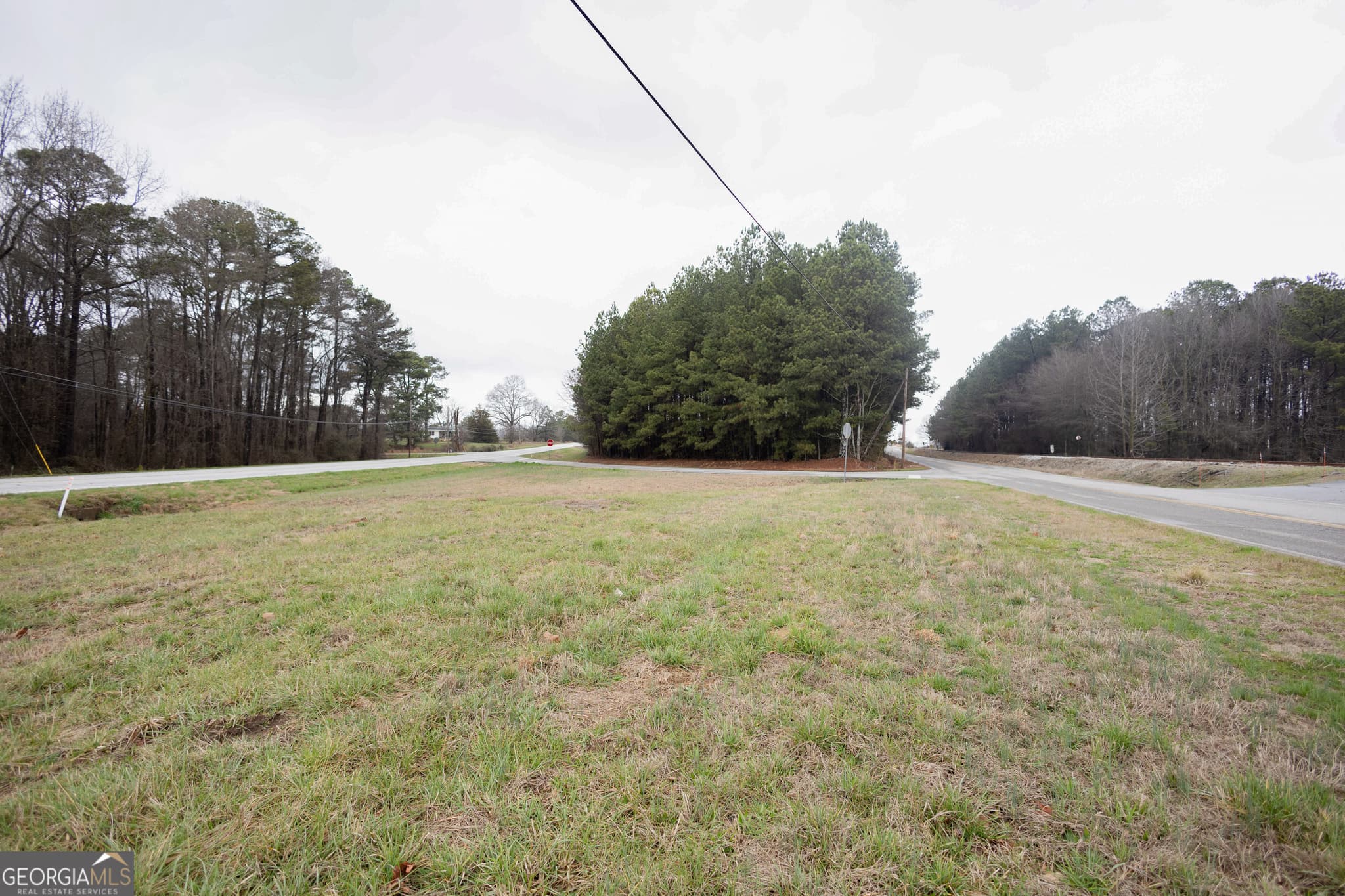 commercial for sale at 0 Highway 17, Royston, GA 30662 — photo 3