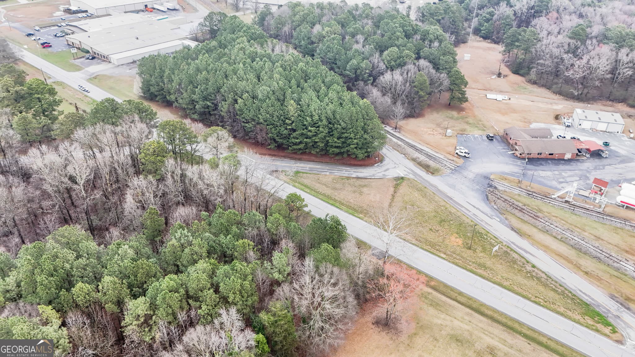 commercial for sale at 0 Highway 17, Royston, GA 30662 — photo 8