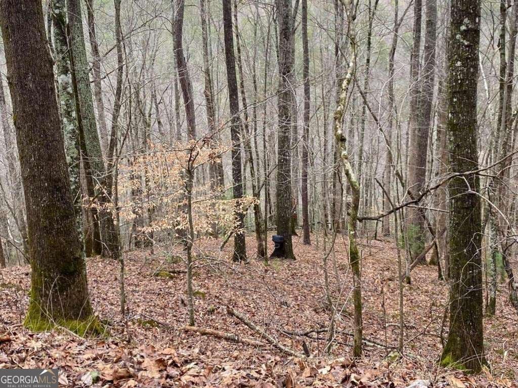 residential lot for sale at 4AC Scenic Way 3833, Ellijay, GA 30540 — photo 2