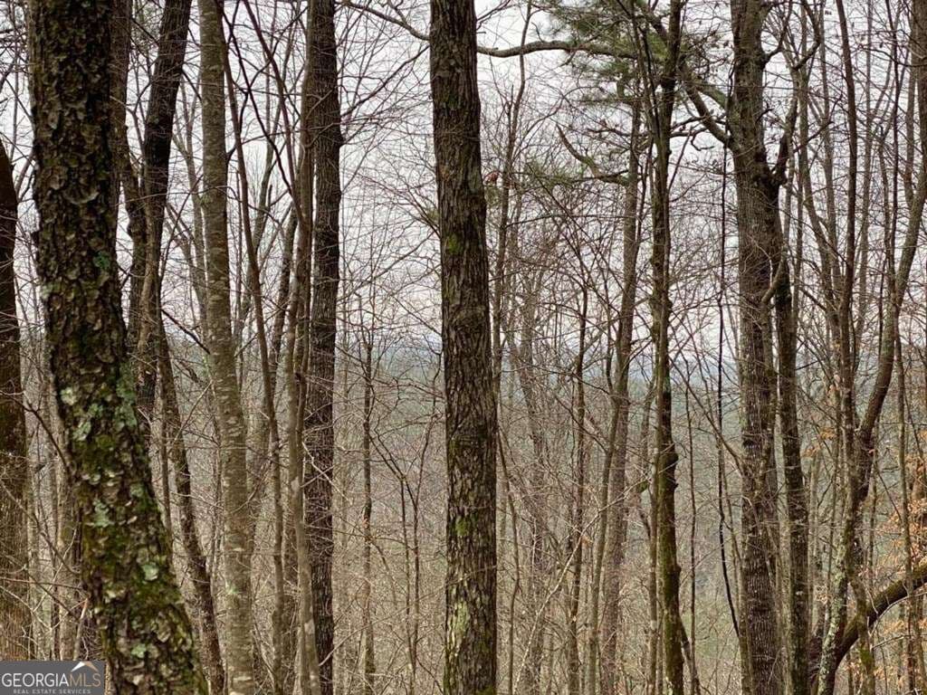 residential lot for sale at 4AC Scenic Way 3833, Ellijay, GA 30540 — photo 6