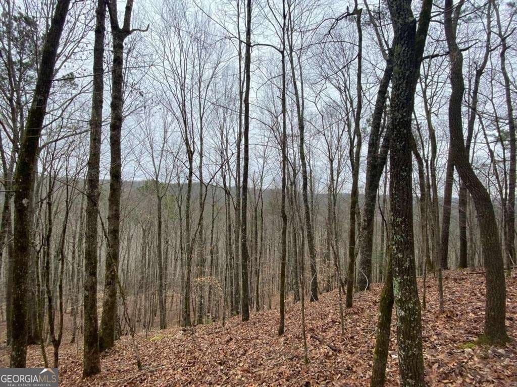 residential lot for sale at 4AC Scenic Way 3833, Ellijay, GA 30540 — photo 7