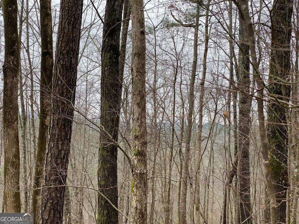 residential lot for sale at 4AC Scenic Way 3833, Ellijay, GA 30540 — photo 3