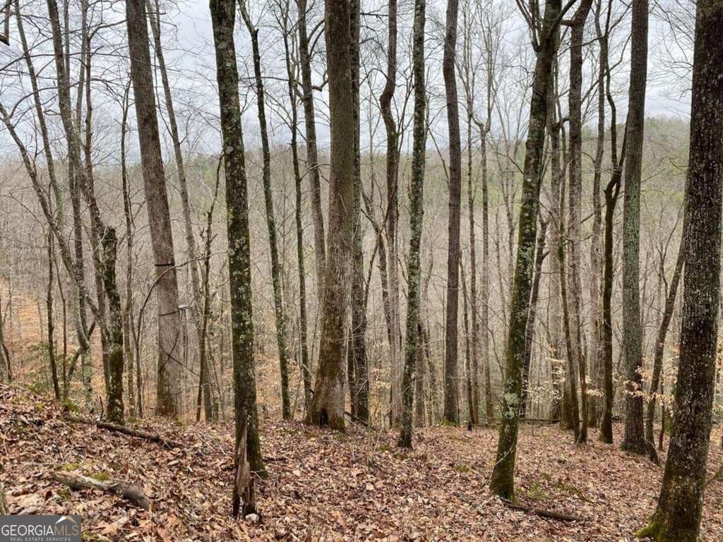 residential lot for sale at 4AC Scenic Way 3833, Ellijay, GA 30540 — photo 1 of 33