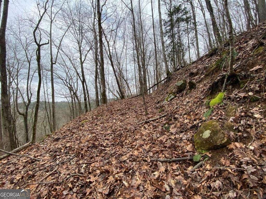 residential lot for sale at 4AC Scenic Way 3833, Ellijay, GA 30540 — photo 5