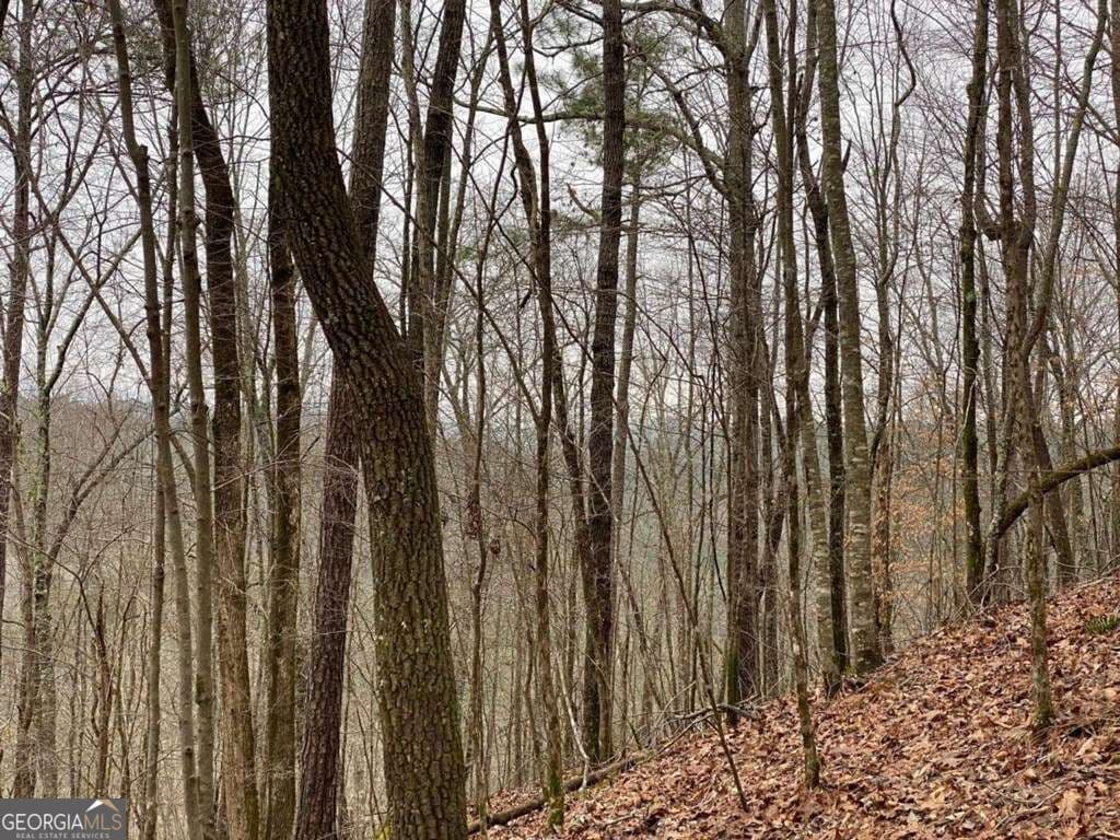 residential lot for sale at 4AC Scenic Way 3833, Ellijay, GA 30540 — photo 4
