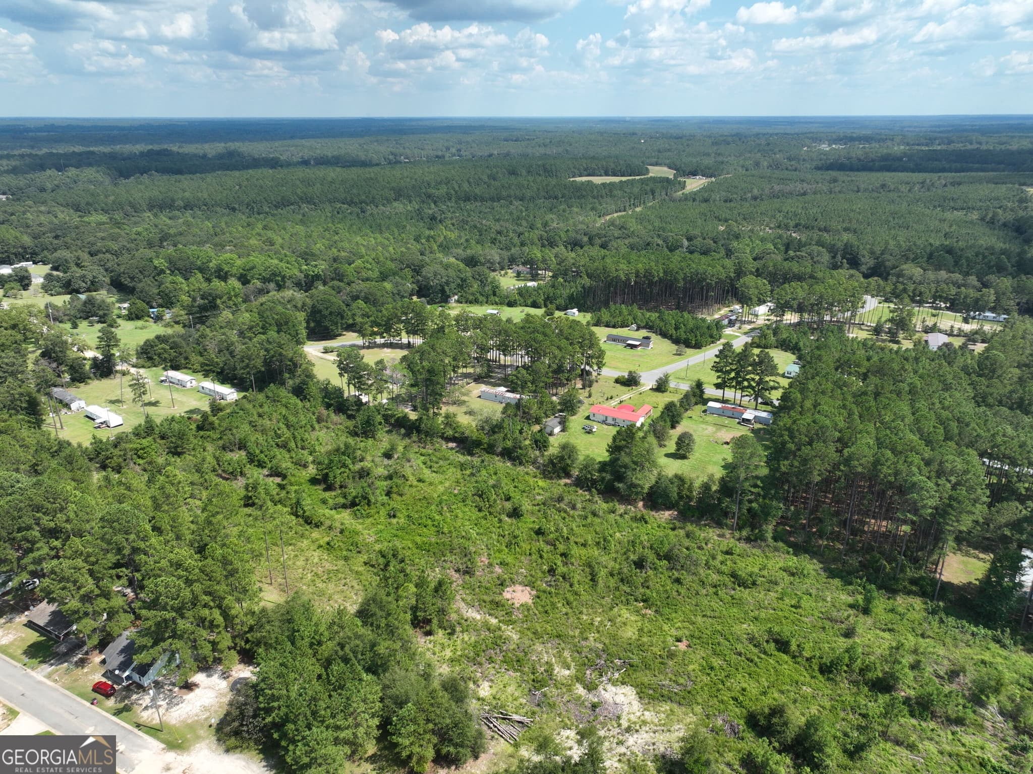 unimproved land for sale at 0 WPA Road, Eastman, GA 31023 — photo 6