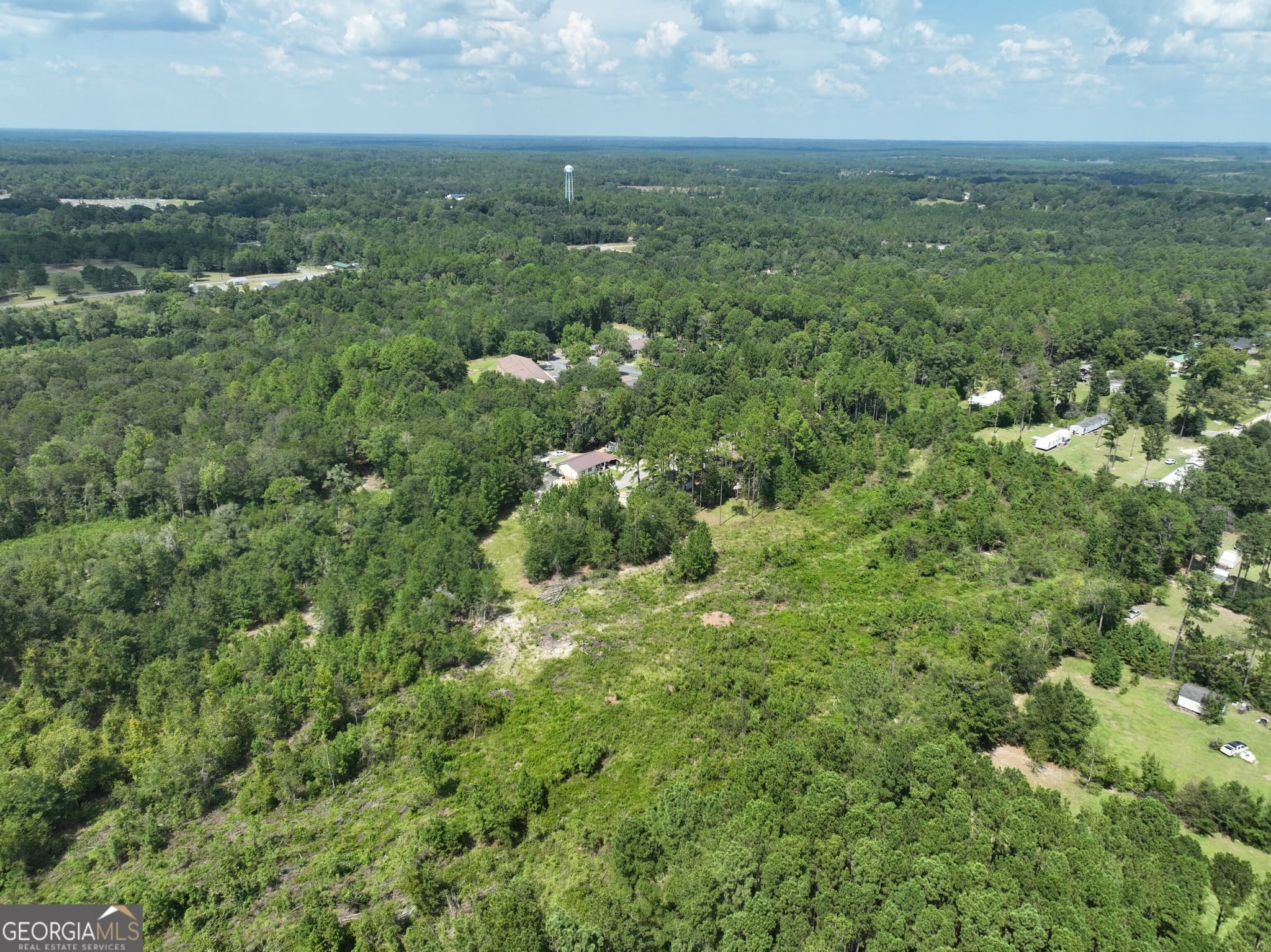 unimproved land for sale at 0 WPA Road, Eastman, GA 31023 — photo 10